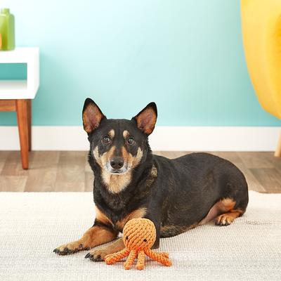 Show full view: Jax and Bones Elton the Octopus Rope Dog Toy, Large slide 6 of 9