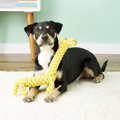 Show full view: Jax and Bones Jerry The Giraffe Rope Dog Toy, Jumbo slide 4 of 6
