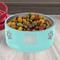 Show in main carousel: JDS Paw Stainless Steel Personalized Dog Bowl, Teal, 4-cup slide 2 of 3