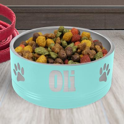 Show full view: JDS Paw Stainless Steel Personalized Dog Bowl, Teal, 4-cup slide 2 of 3
