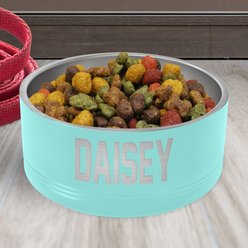 JDS Stainless Steel Personalized Dog Bowl, Teal, 8-cup slide 2 of 3