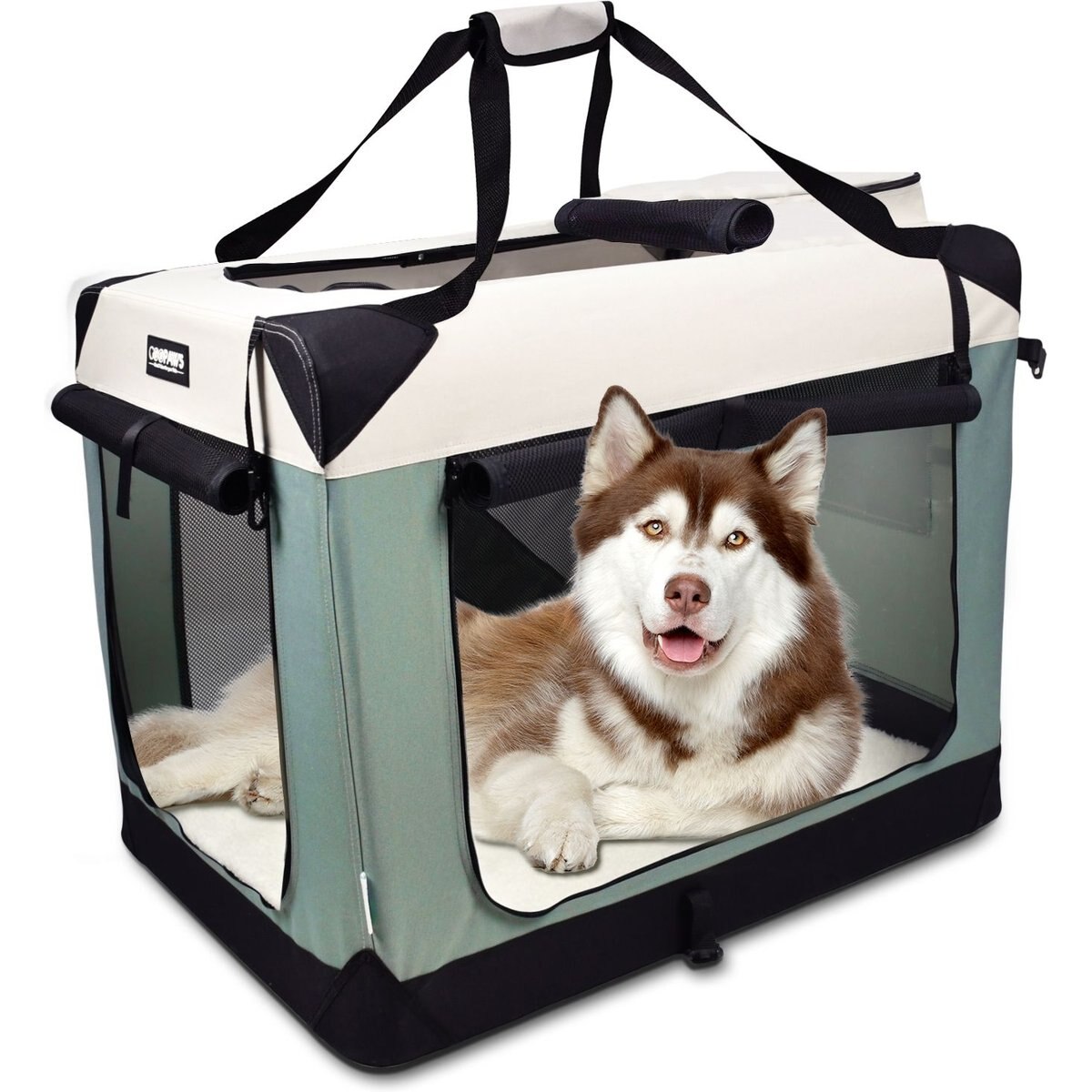 Jespet 3-Door Collapsible Soft-Sided Dog Crate, Shale Green, Medium/Large: 36 inch