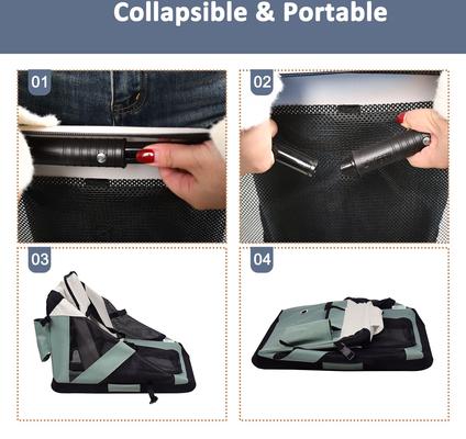 Show full view: Jespet 3-Door Collapsible Soft-Sided Dog Crate, Shale Green, Medium/Large: 36 inch slide 5 of 8