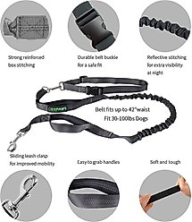 Jespet Bungee Reflective Standard Dog Leash, Black slide 2 of 7