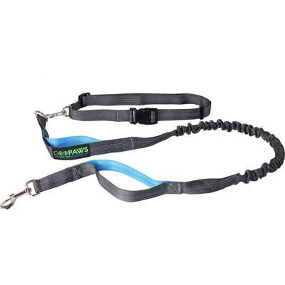 Jespet Jespet Bungee Reflective Standard Dog Leash, Blue