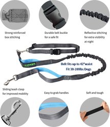 Jespet Bungee Reflective Standard Dog Leash, Blue slide 2 of 7