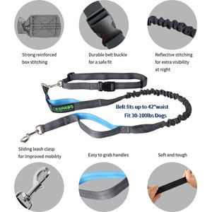 Jespet Bungee Reflective Standard Dog Leash, Blue