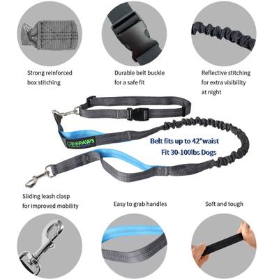 Show full view: Jespet Bungee Reflective Standard Dog Leash, Blue slide 2 of 8