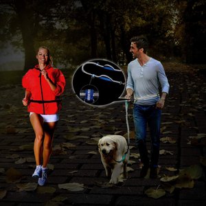 Jespet Bungee Reflective Standard Dog Leash, Blue