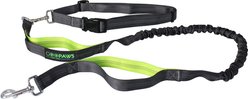 Jespet Bungee Reflective Standard Dog Leash, Green