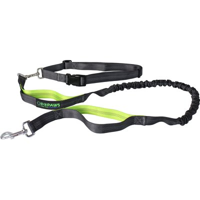Jespet Jespet Bungee Reflective Standard Dog Leash, Green
