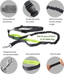 Jespet Bungee Reflective Standard Dog Leash, Green slide 2 of 7