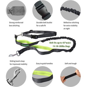 Jespet Bungee Reflective Standard Dog Leash, Green