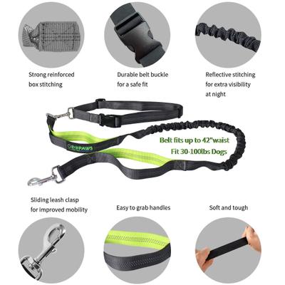 Show full view: Jespet Bungee Reflective Standard Dog Leash, Green slide 2 of 8