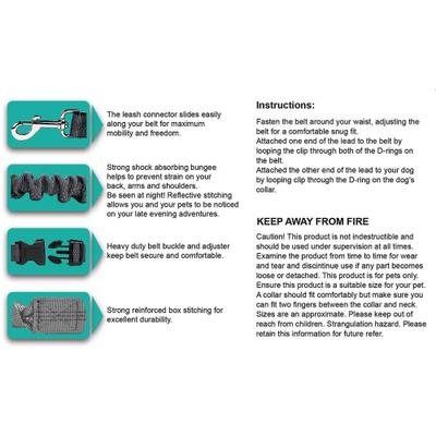 Show full view: Jespet Bungee Reflective Standard Dog Leash, Green slide 4 of 8