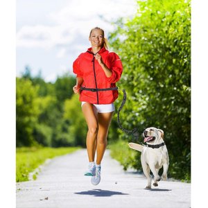Jespet Bungee Reflective Standard Dog Leash, Green