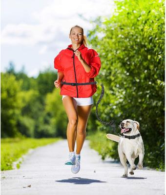 Show full view: Jespet Bungee Reflective Standard Dog Leash, Green slide 5 of 8