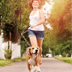 Jespet Bungee Reflective Standard Dog Leash, Green