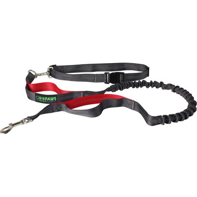 Jespet Jespet Bungee Reflective Standard Dog Leash, Red