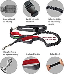Jespet Bungee Reflective Standard Dog Leash, Red slide 2 of 7
