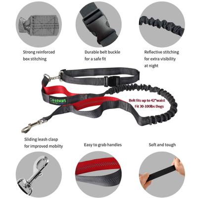 Show full view: Jespet Bungee Reflective Standard Dog Leash, Red slide 2 of 8