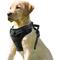 Show in main carousel: Jespet Goopaws Adjustable Padded Easy Control Lightweight Reflective Dog Harness, Black, Large slide 1 of 9