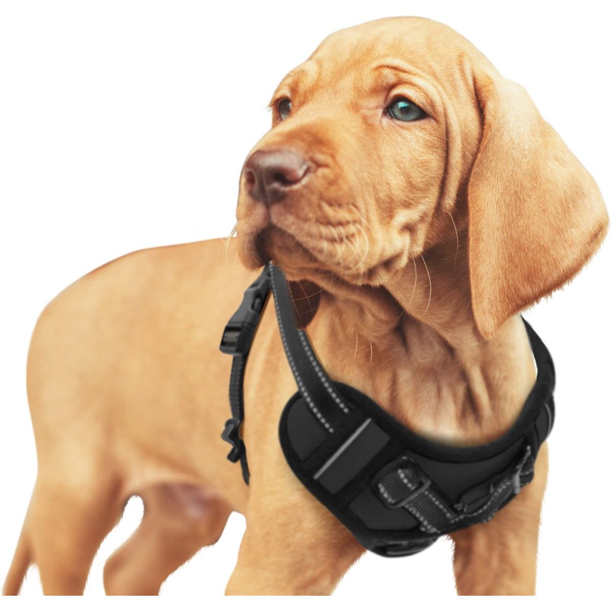 Jespet & GOOPAWS Adjustable Padded Easy Control Lightweight Reflective Dog Harness, Black, Small