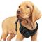 Show in main carousel: Jespet & GOOPAWS Adjustable Padded Easy Control Lightweight Reflective Dog Harness, Black, Small slide 1 of 9