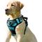 Show in main carousel: Jespet Goopaws Adjustable Padded Easy Control Lightweight Reflective Dog Harness, Blue, Large slide 1 of 10