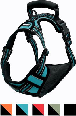 Show full view: Jespet Goopaws Adjustable Padded Easy Control Lightweight Reflective Dog Harness, Blue, Large slide 3 of 10