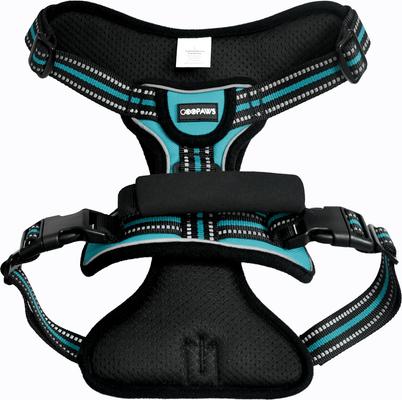 Show full view: Jespet Goopaws Adjustable Padded Easy Control Lightweight Reflective Dog Harness, Blue, Large slide 5 of 10