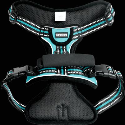 Show full view: Jespet Goopaws Adjustable Padded Easy Control Lightweight Reflective Dog Harness, Blue, Large slide 7 of 10