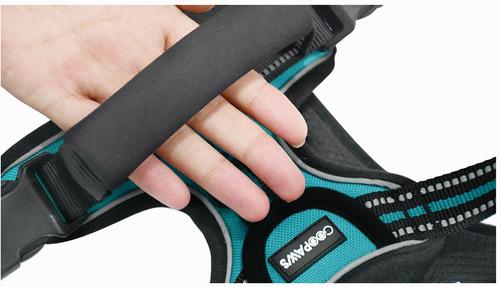 Show full view: Jespet Goopaws Adjustable Padded Easy Control Lightweight Reflective Dog Harness, Blue, Large slide 8 of 10