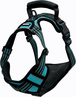 Show full view: Jespet Goopaws Adjustable Padded Easy Control Lightweight Reflective Dog Harness, Blue, Large slide 9 of 10