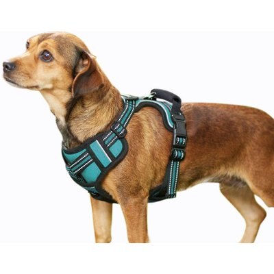 Jespet Jespet & GOOPAWS Adjustable Padded Easy Control Lightweight Reflective Dog Harness, Blue, Medium