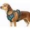 Show in main carousel: Jespet Goopaws Adjustable Padded Easy Control Lightweight Reflective Dog Harness, Blue, Medium slide 1 of 9