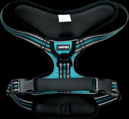 Show full view: Jespet Goopaws Adjustable Padded Easy Control Lightweight Reflective Dog Harness, Blue, Medium slide 6 of 9