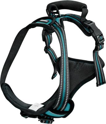 Show full view: Jespet Goopaws Adjustable Padded Easy Control Lightweight Reflective Dog Harness, Blue, Medium slide 8 of 9