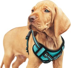 Jespet Goopaws Adjustable Padded Easy Control Lightweight Reflective Dog Harness, Blue, Small