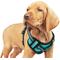 Show in main carousel: Jespet & GOOPAWS Adjustable Padded Easy Control Lightweight Reflective Dog Harness, Blue, Small slide 1 of 10