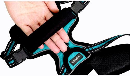 Show full view: Jespet & GOOPAWS Adjustable Padded Easy Control Lightweight Reflective Dog Harness, Blue, Small slide 8 of 10