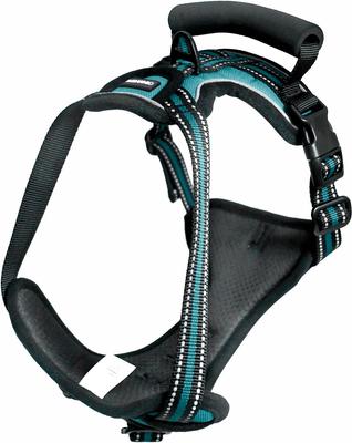 Show full view: Jespet & GOOPAWS Adjustable Padded Easy Control Lightweight Reflective Dog Harness, Blue, Small slide 9 of 10