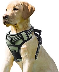 Jespet Goopaws Adjustable Padded Easy Control Lightweight Reflective Dog Harness, Green, Large