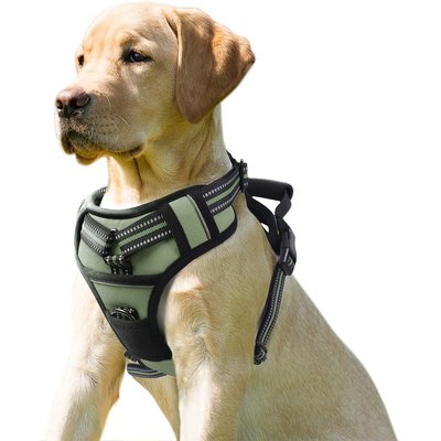 Jespet Jespet & GOOPAWS Adjustable Padded Easy Control Lightweight Reflective Dog Harness, Green, Large