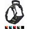 Show in main carousel: Jespet Goopaws Adjustable Padded Easy Control Lightweight Reflective Dog Harness, Green, Large slide 2 of 9