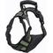 Show in main carousel: Jespet Goopaws Adjustable Padded Easy Control Lightweight Reflective Dog Harness, Green, Large slide 8 of 9