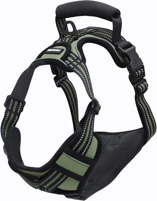 Show full view: Jespet Goopaws Adjustable Padded Easy Control Lightweight Reflective Dog Harness, Green, Large slide 8 of 9