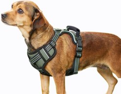 Jespet & GOOPAWS Adjustable Padded Easy Control Lightweight Reflective Dog Harness, Green, Medium