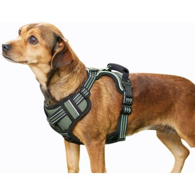Jespet Jespet & GOOPAWS Adjustable Padded Easy Control Lightweight Reflective Dog Harness, Green, Medium