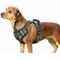 Show in main carousel: Jespet & GOOPAWS Adjustable Padded Easy Control Lightweight Reflective Dog Harness, Green, Medium slide 1 of 9